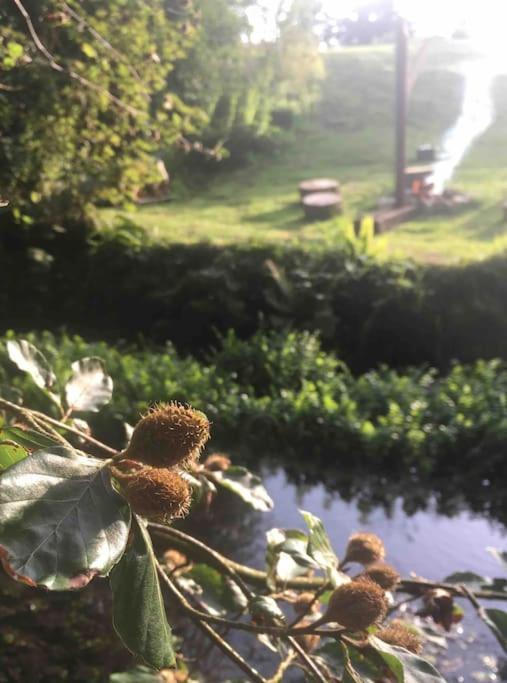 Hidden Cottage Gem Hottub, Firepit, Coastal Walks Holiday home